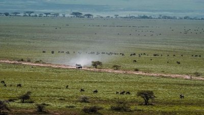 8 Days 7 Nights Tanzania Holiday-Wildebeest Migration