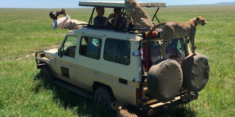 3Days 2 Nights Ngorongoro Crater, Lake Manyara & Tarangire Safari