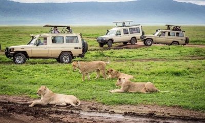 3Days 2 Nights Ngorongoro Crater, Lake Manyara & Tarangire Safari