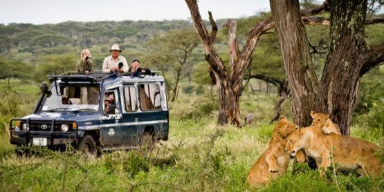 5 Days 4 Nights Serengeti,Lake Manyara, Tarangire & Ngorongoro
