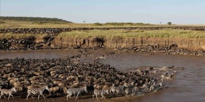 6 Days 5 Nights Tanzania Migration