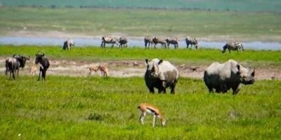 7 Days 6 Nights Tanzania Family Safari