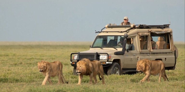 10 Days 9 Nights Tanzania Honeymoon Safari