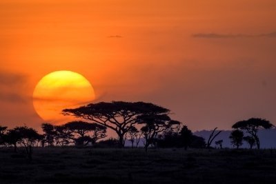 10 Days 9 Nights Tanzania Honeymoon Safari