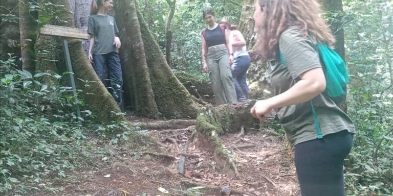 2-Days Amani Nature Reserve From Tanga City