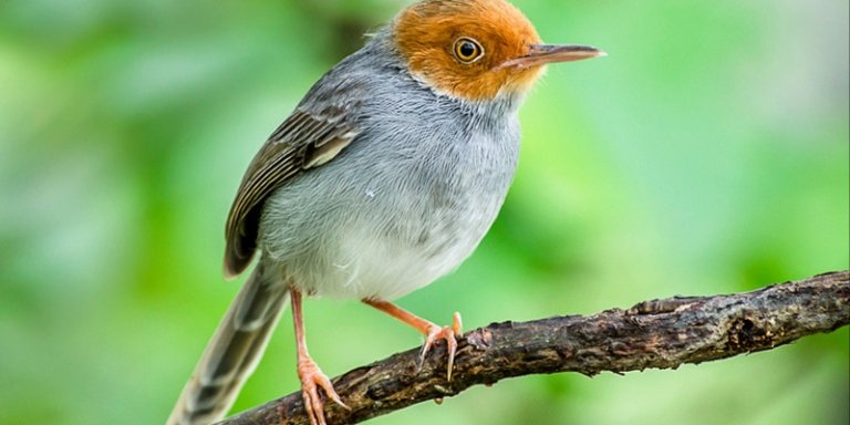 2 Days 1 Night Tour of Nilo Nature Reserve in Tanzania