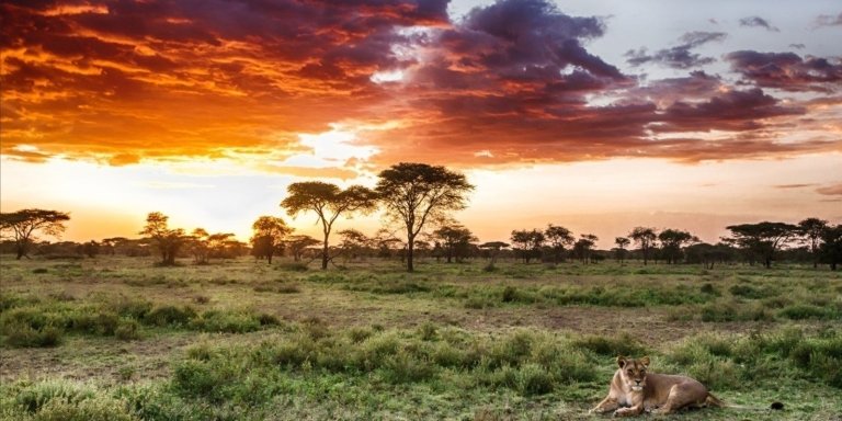 9 Days Tanzania Wildlife Safari and Cultural Experiences