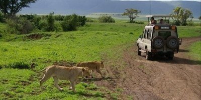 Dar es Salaam: 5-Day Mikumi & Nyerere National Park Safari