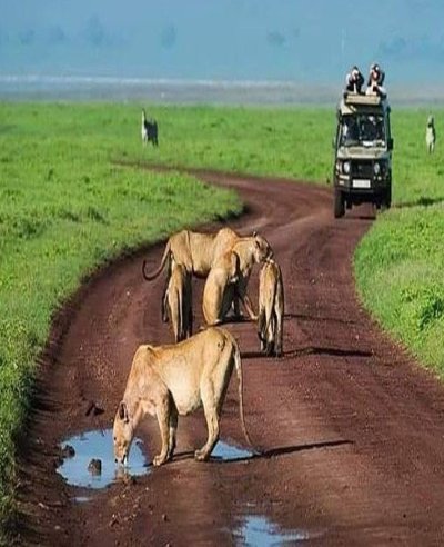 2 Days Game Drive and Boat Trip in Saadani from Dar es Salaam