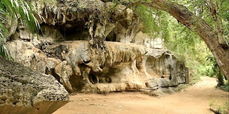 Amboni Caves Tour from Nyumbani Hotels & Resorts