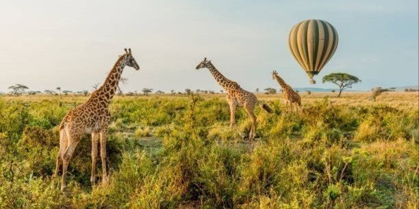 3 Days 2 Nights Mikumi National Park from Dar es salaam road trip