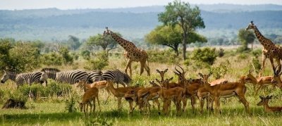 3 Days 2 Nights Nyerere National Park