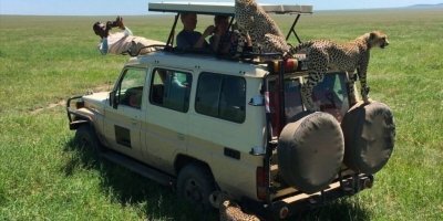 1 Day adventure to Mikumi National Park