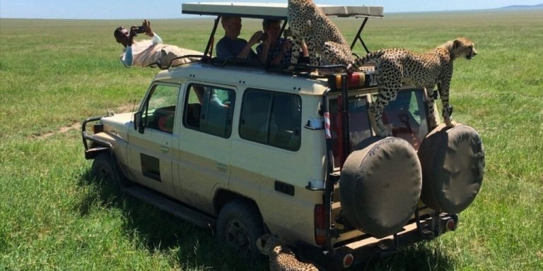 1 Day adventure to Mikumi National Park