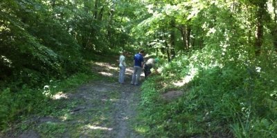 Private premium truffle tour Istria