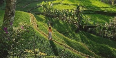 Mount Batur Jeep Sunrise and Tegalalang Rice Terrace