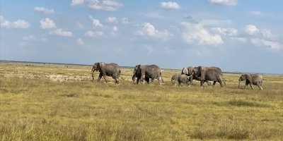 Rwanda, Uganda and Kenya combined safari