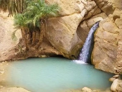 Desert Express with a night under tent