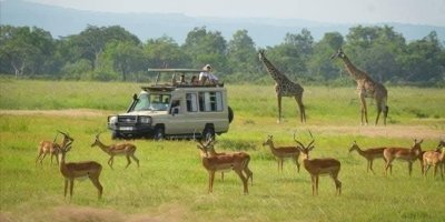 “3-Day Mikumi National Park Safari via Zanzibar Ferry Adventure”