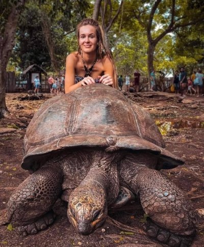 Nakupenda & Prison Island Serenity Experience