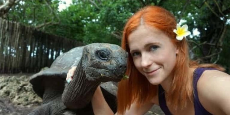 ⭐ Explore Zanzibar ⭐ Prison Island & Nakupenda Sandbank ⭐