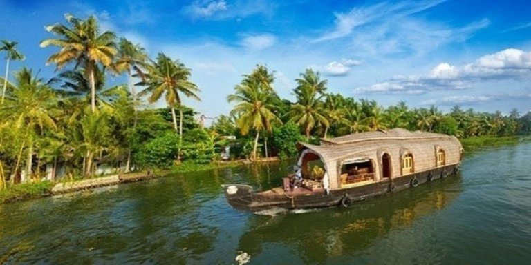 Cochin: Alleppey Backwater Private Day Tour with Houseboat