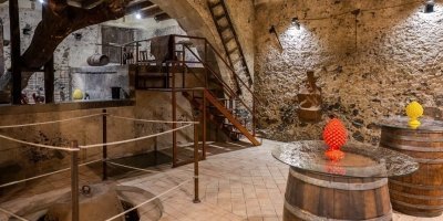 Ancient Palmento Natural Wines Experience