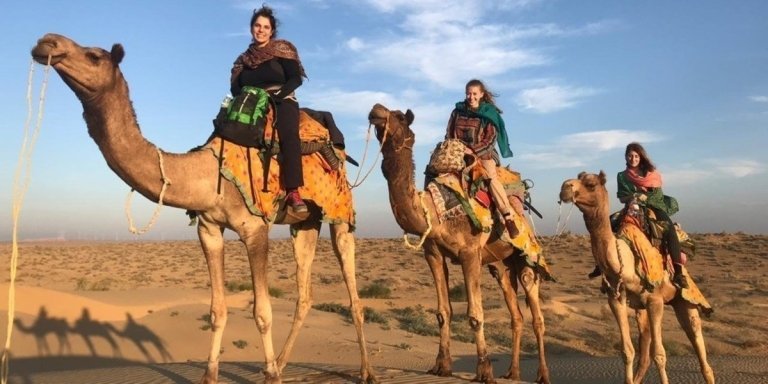 Jaipur: Private City Tour - Full or Half Day by Car