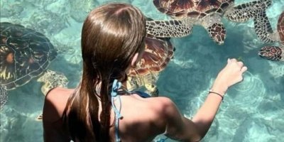 🌟 Schwimmen mit Schildkröten ⭐ Entspannung am Mtende Strand 🌟