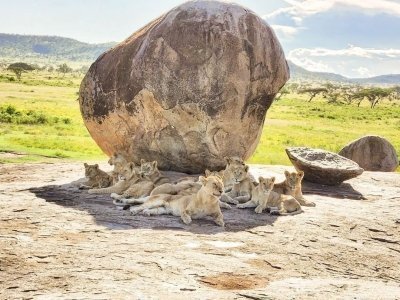 Five Days-Four Nights Serengeti Safari
