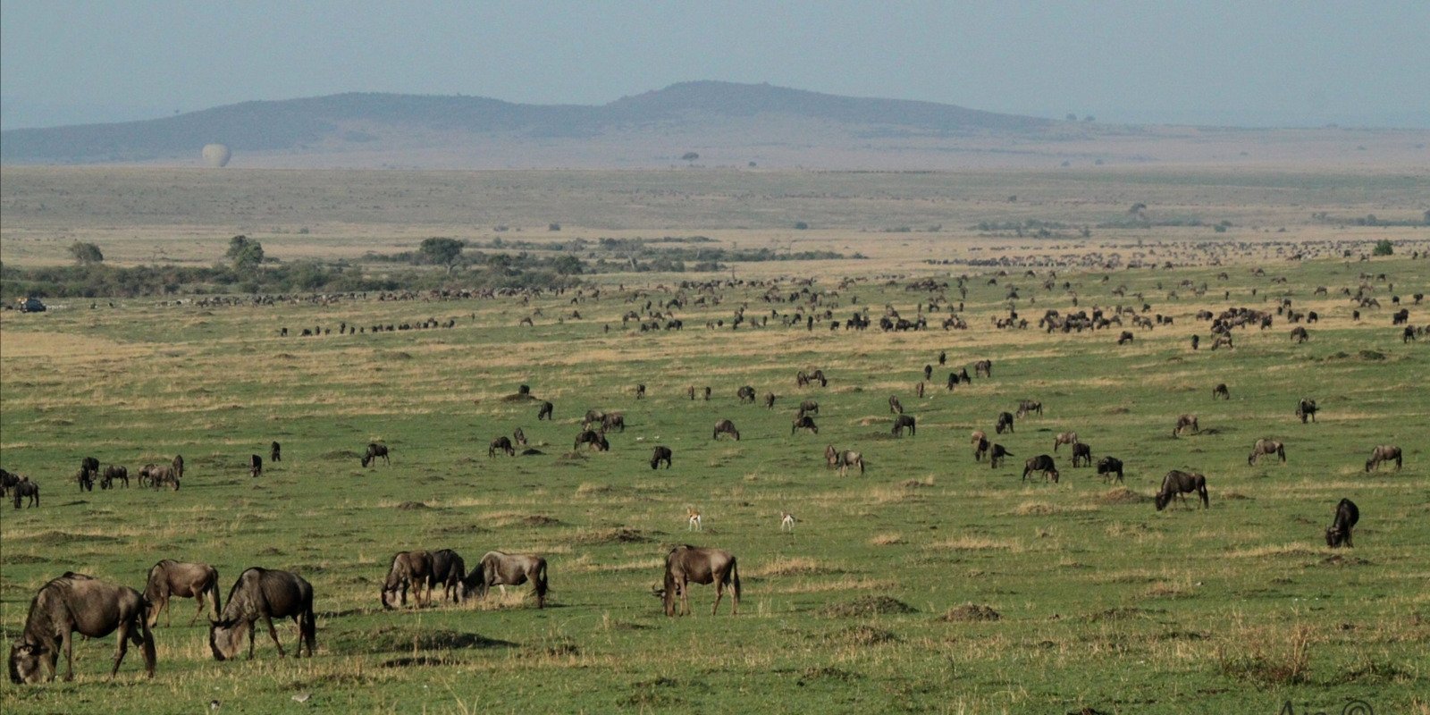 16- Day Adventure -Explore the Wild Heart of Kenya