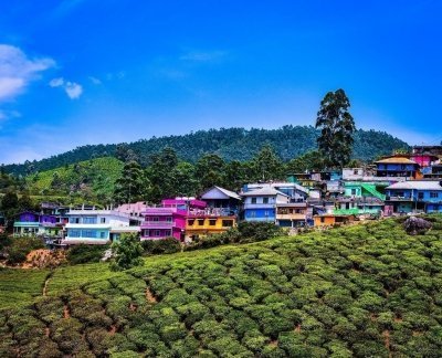 Dharamshala: Full-Day Sightseeing Tour with Lunch