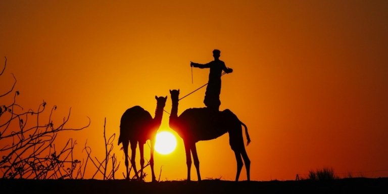 Jodhpur Camel Safari & Overnight Stay In Desert With Sumer