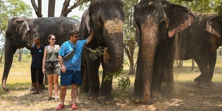 Jaipur: Elephant Sanctuary Tour