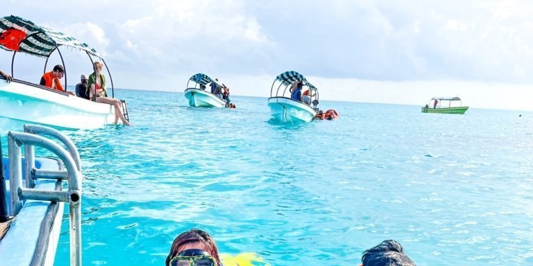 Full day Private Hidden Beach Escape