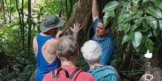 Tortuguero Jaguar trail Tour