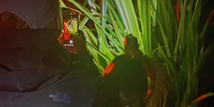 Tortuguero Night Tour