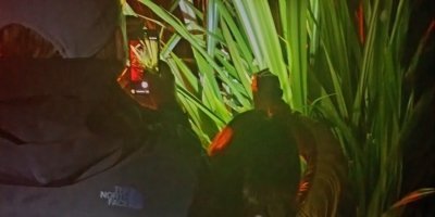 Tortuguero Night Tour