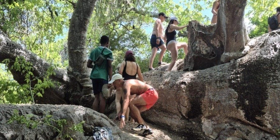Safari Blue Sea Adventure In Zanzibar