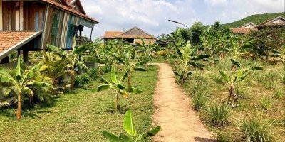 One Day Trip to Pepper Farm, Chhngok Temple and Salt Field