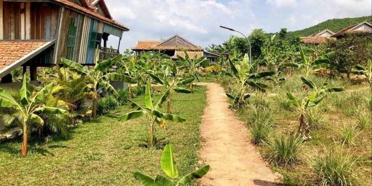 One Day Trip to Pepper Farm, Chhngok Temple and Salt Field