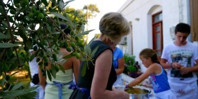 Metochi Farmhouse: Cooking, Nature and Cretan Traditions