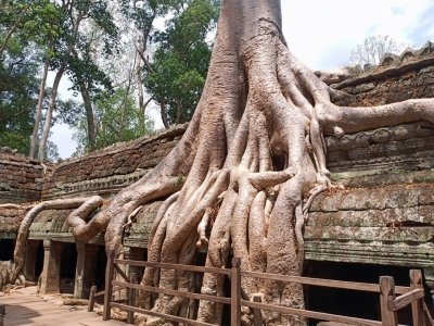 10 Day Temple Exploration Trip in Siem Reap