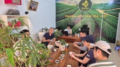 Trekking Tour | Explore Thai Nguyen - The land of tea