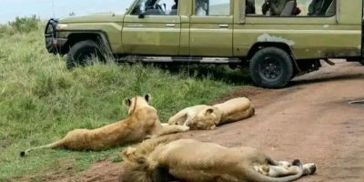 Nairobi National Park day Tour