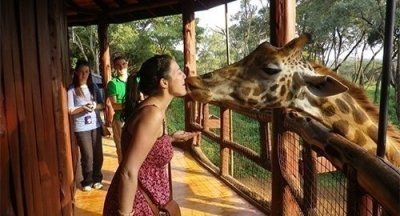 Nairobi National Park day Tour