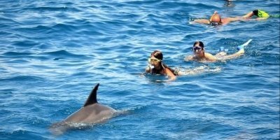 Dolphin House Snorkeling Boat Trip & Water Sports
