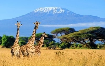 6 Days Mount Kilimanjaro Trekking Safari – Marangu Route