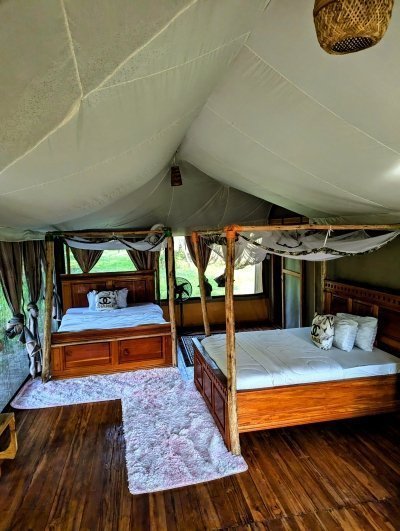 3-Day Mikumi Safari & Udzungwa Waterfall Adventure