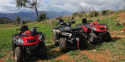 Transfers & Round-Trips